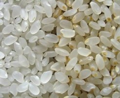 玄米　発芽玄米　胚芽米