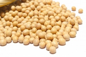 大豆　栄養素　ダイエット効果　ペプチド　イソフラボン　サポニン　