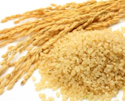 玄米　食べ過ぎ　太る　カロリー