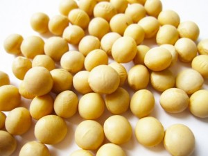 大豆　タンパク質　豊富　筋肉の原料